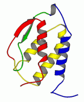 Estructura molecular de las interleuquinas
