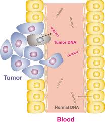 circulating tumor cells