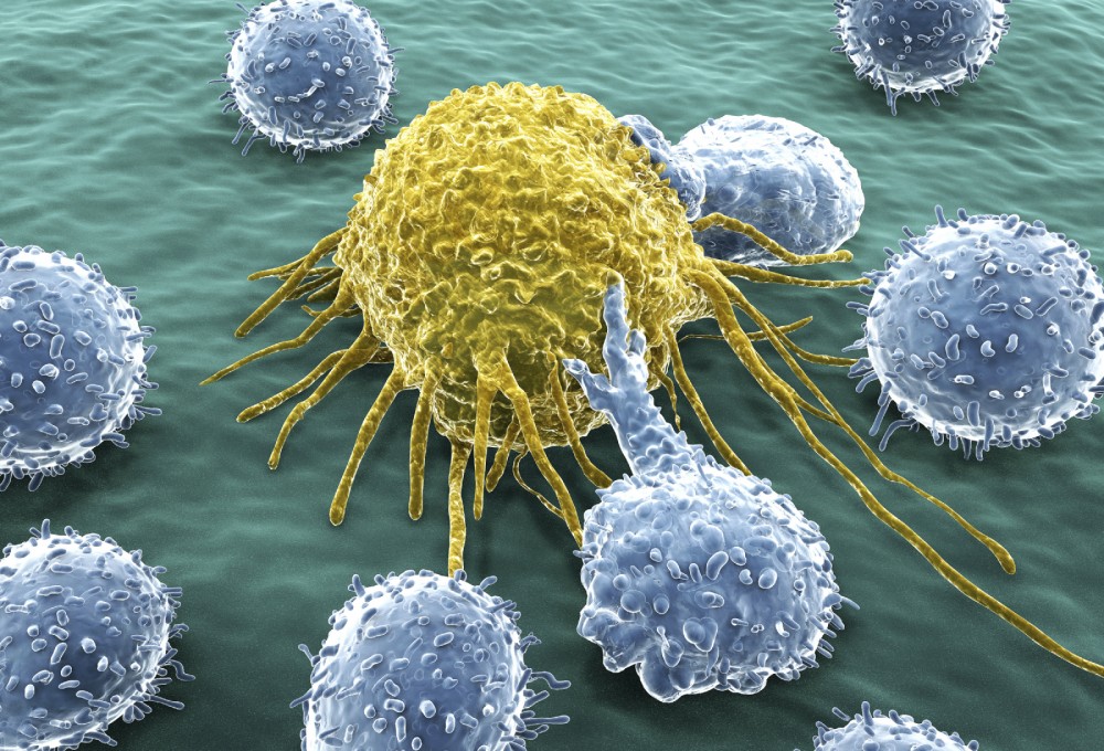 Natural killer cells (blue) attacking a cancer cell (yellow)