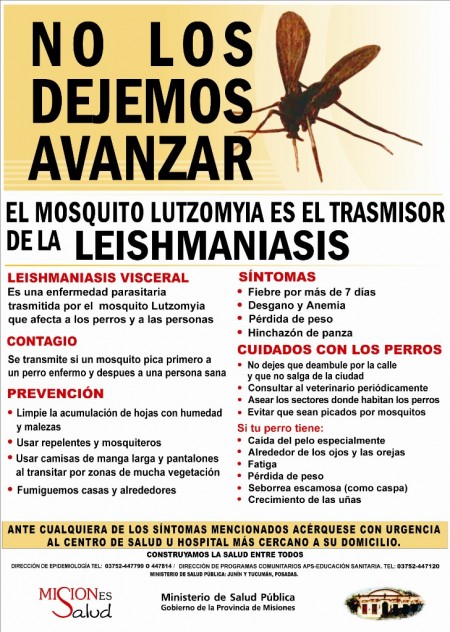 No Olvidar La Leishmaniasis – PIEL-L Latinoamericana