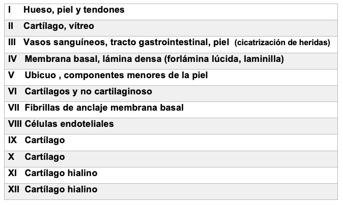 Tipos De Colageno Y Su Localización Piel L Latinoamericana 8895